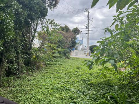 土地奥から道路側を撮影